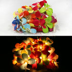 1 Set of 20 LED Tropical Bright Colous Frangipani Flower Battery String Lights Christmas Gift Home V382-TROPFRANGIBATT20