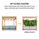 PLANTCRAFT 12 Pod Indoor Hydroponic Growing System with Bamboo Frame & LED Lights V219-GDSHYDBD12TA