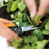 Fiskars Softouch Micro-Tip Pruning Snips - Non-Coated Blades for Precise Trimming of Delicate Plants V260-SSFS