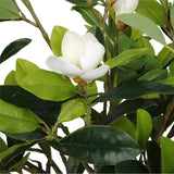 Faux White Flowering Magnolia Tree with Pot 130cm V77-1890002