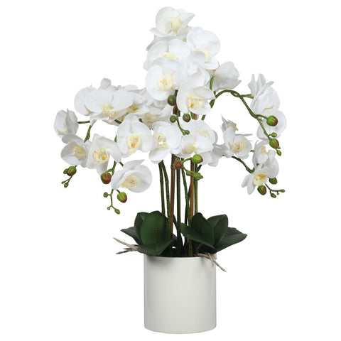 Large Multi-Stem White Potted Faux Orchid 65cm V77-1018513