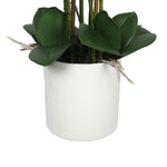 Large Multi-Stem White Potted Faux Orchid 65cm V77-1018513