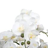 Large Multi-Stem White Potted Faux Orchid 65cm V77-1018513