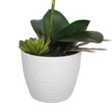 Potted Single Stem White Phalaenopsis Orchid with Decorative Pot 35cm V77-1018519