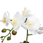 Potted Single Stem White Phalaenopsis Orchid with Decorative Pot 35cm V77-1018519