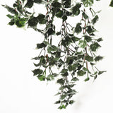 Mixed Green and White Tipped Ivy Bush 80cm UV Resistant V77-1000699