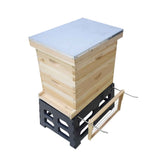 Plastic Beehive Stand 10 Frame Langstroth Bee Hive Base Ant Tool Beekeeping V238-SUPDZ-32994643640400