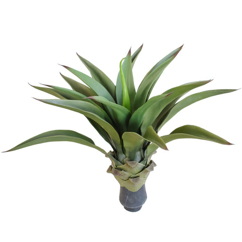 UV Agave 50cm No Pot V77-1020708