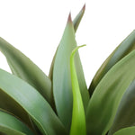 UV Agave 50cm No Pot V77-1020708