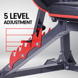 Powertrain Adjustable Weight Bench Home Gym Bench Press - 301 WBD-301